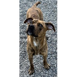 Photo of ZENA