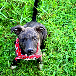 Photo of Willie