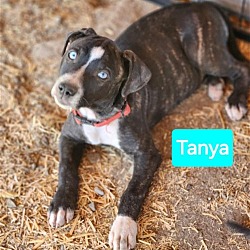 Photo of Tanya