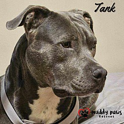 Thumbnail photo of Tank (Courtesy Post) #4