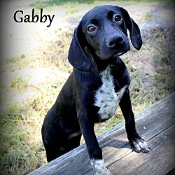 Thumbnail photo of Gabby ~ meet me! #1