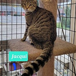 Thumbnail photo of Jacqui #2