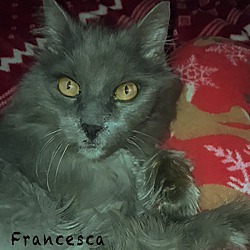 Thumbnail photo of Francesca #1