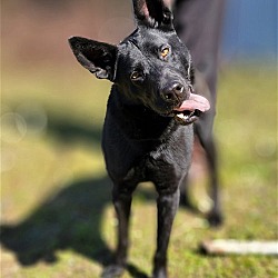 Thumbnail photo of Ranger #4