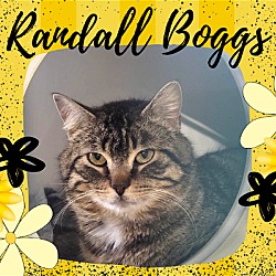 Photo of Randall Boggs