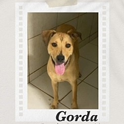 Photo of Gorda