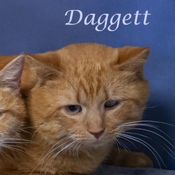 Thumbnail photo of Daggett (C24-003) #1