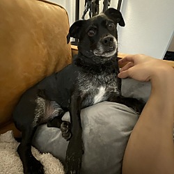 Photo of Snickers