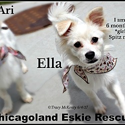 Thumbnail photo of Ari & Ella #2