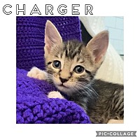 Photo of Charger