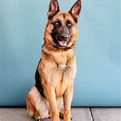 Photo of HANNAH