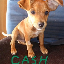 Thumbnail photo of Cash #3