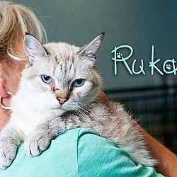 Photo of Ruka