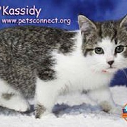 Thumbnail photo of Kassidy #2