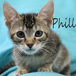 Thumbnail photo of Phillip #2
