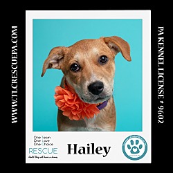 Thumbnail photo of Hailey (Summer Loves) 062924 #2