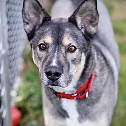Photo of Dakota