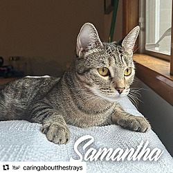 Photo of Samantha