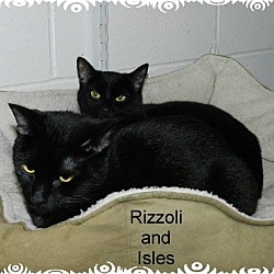 Thumbnail photo of Rizzoli #1
