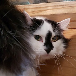 Photo of Harley