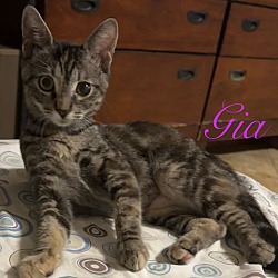 Thumbnail photo of Gia #4