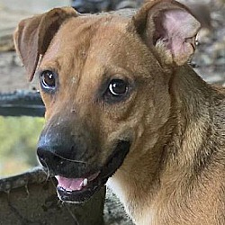 Photo of Barney