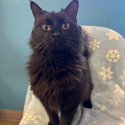 Photo of Elphaba