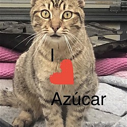 Photo of Azucar