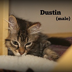 Thumbnail photo of Dustin #3