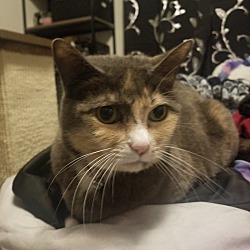 Photo of Pinky