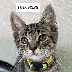 Photo of Otis B226