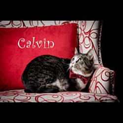 Thumbnail photo of Calvin Coolidge II #3