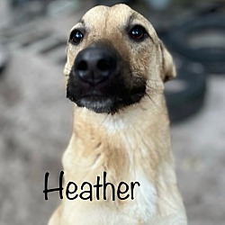 Photo of Heather