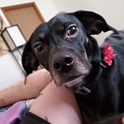 Photo of Molly