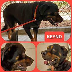 Thumbnail photo of KEYNO #3