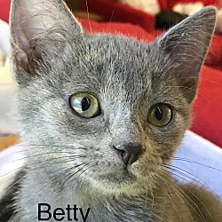 Photo of Betty Boop