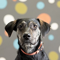 Photo of Dotty