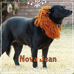 Photo of Nova Jean