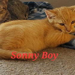 Thumbnail photo of Sonny Boy #2