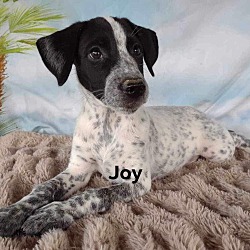 Photo of Joy