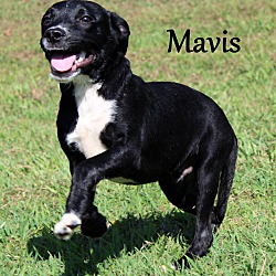 Thumbnail photo of Mavis ~ meet me! #2