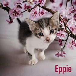 Photo of Eppie