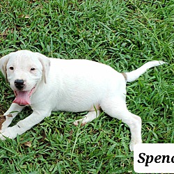 Photo of Spencer  See video