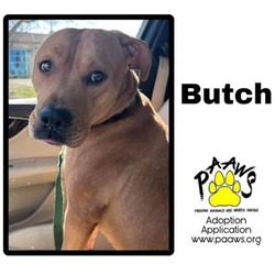 Photo of Butch
