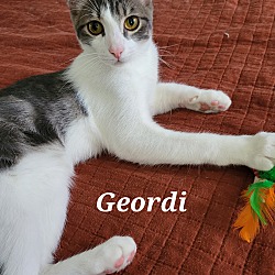 Thumbnail photo of Geordi #4