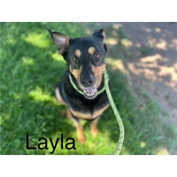 Photo of LAYLA