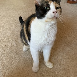 Photo of Lucy