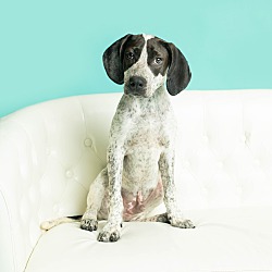 Photo of Clovis