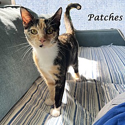 Thumbnail photo of PATCHES #2