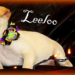 Thumbnail photo of Leelo ~ meet me! #2